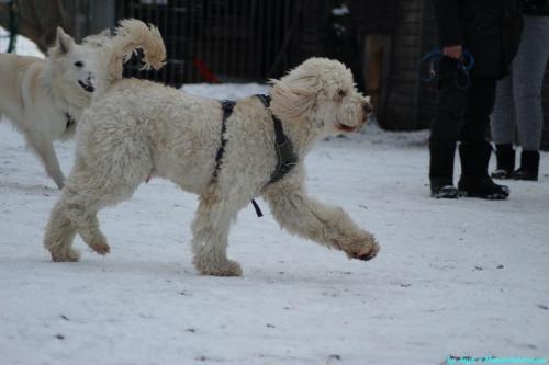 f0aaa4a3-745b-445d-83a3-a814de48902a