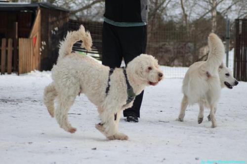 f1836c6f-03ea-4b7b-8689-a5b7ba1fdf88