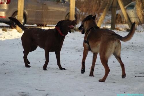 f277c5be-e266-48f5-9df4-8c4b8fc24bea