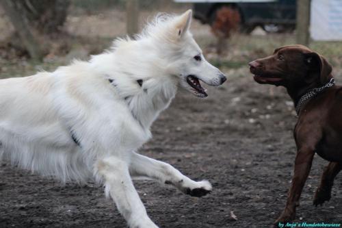 f29e3bd7-a248-45f1-8835-350d1bd7dfaf