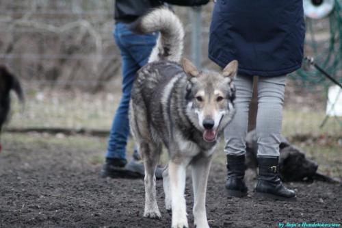 f2aaa7ed-1447-46d7-87b2-b10e1372bd3d