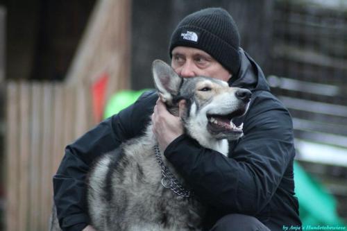 f509ed02-7c68-4e77-b449-463cdd25e588