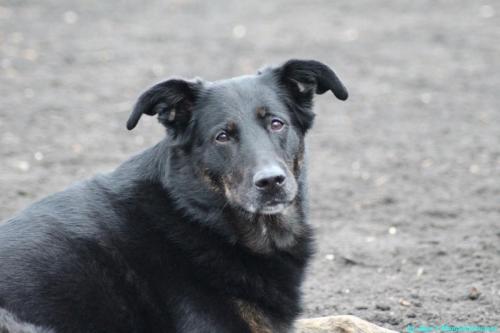 f5405a27-bbea-4ac0-ad81-d2e18308634c