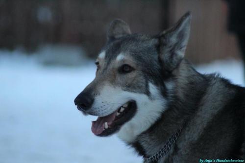 f7ad1fdc-a5a1-4ead-a986-b0e69eff5618