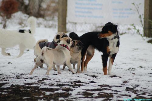 fd58d689-5e60-47e5-bd01-88ef60651d34