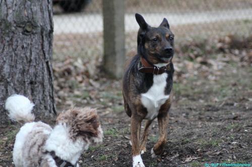 fdc6a2d3-a804-4d96-b20c-7922566a8429